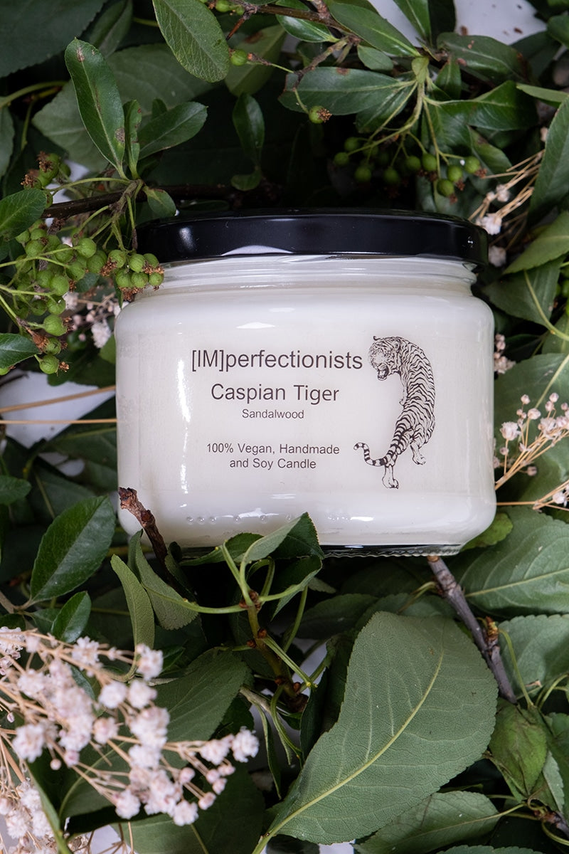 Candle Transforming into Caspian Tiger Hand Cream